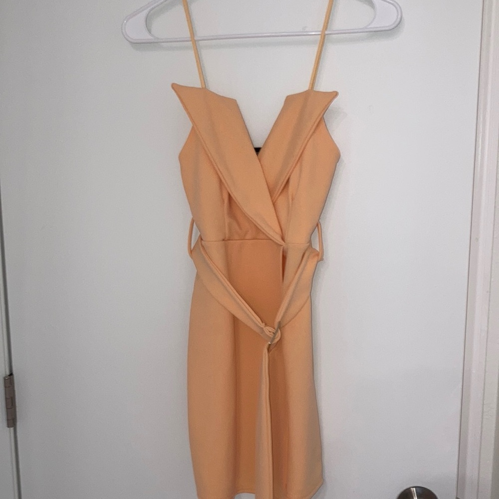 Pretty little thing dress